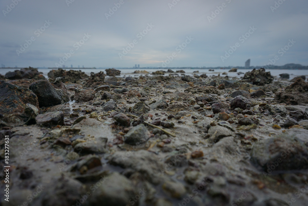 Obraz premium close up stone on coast