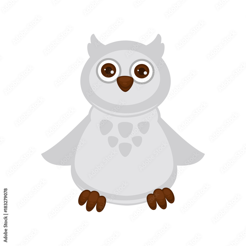 Fototapeta premium Owl baby with big brown eyes and white plumage