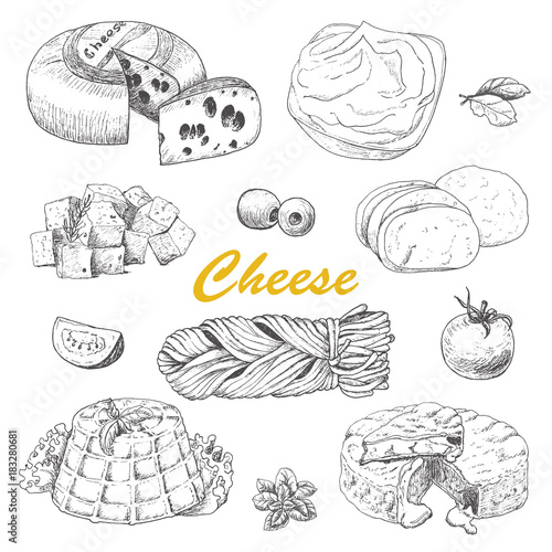 Vector collection of different kinds of cheese