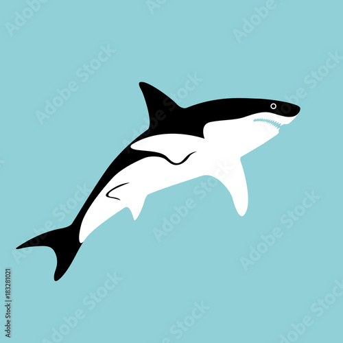 shark vector illustration flat style profile