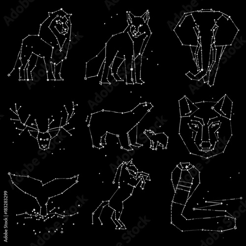 Collection of hand draw animals constellation on dark sky. Sketched wild animals with line and stars, horoscope style. Doodle constellation animals for cards, elephant, owl, wolf and other wild