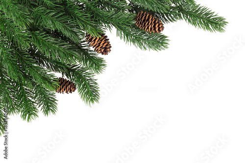 Fir branches with cones in the corner on a white background