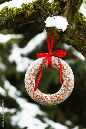 Canvas Print Homemade suet cake hanging in the garden