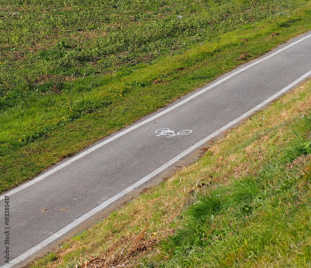 Obraz premium Asphalt bike lane among a green field 