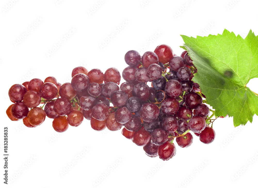 Fototapeta premium Grapes on a white background