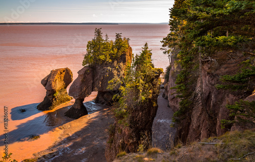 Hopewell Rocks at Low Tide photo