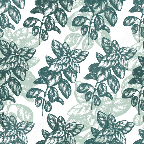 Basil seamless pattern. Vector background for design menu, packaging and recipes. Hand drawn vintage illustration.