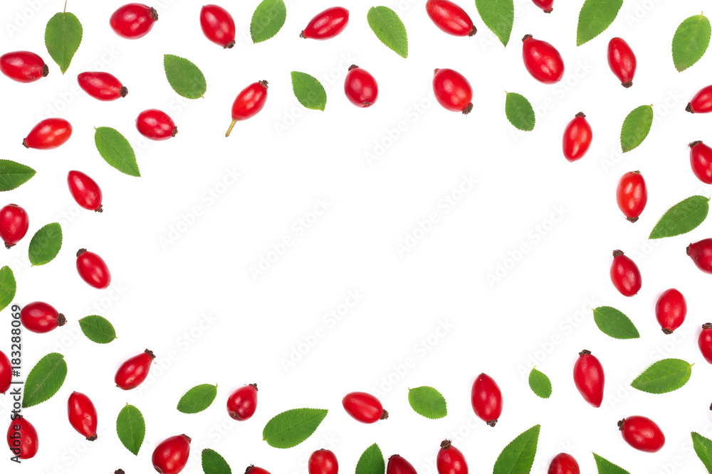 rosehip berries isolated on white background with copy space for your text. Flat lay pattern. Top view rosehip berries isolated on white background with copy space for your text. Flat lay pattern. Top view