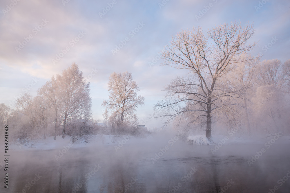 Snowy frozen landscape of sunrise on lakeside with trees
Snowy frozen landscape of sunrise on lakeside with trees
