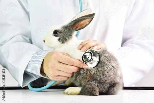 Animal and healthcare conce...