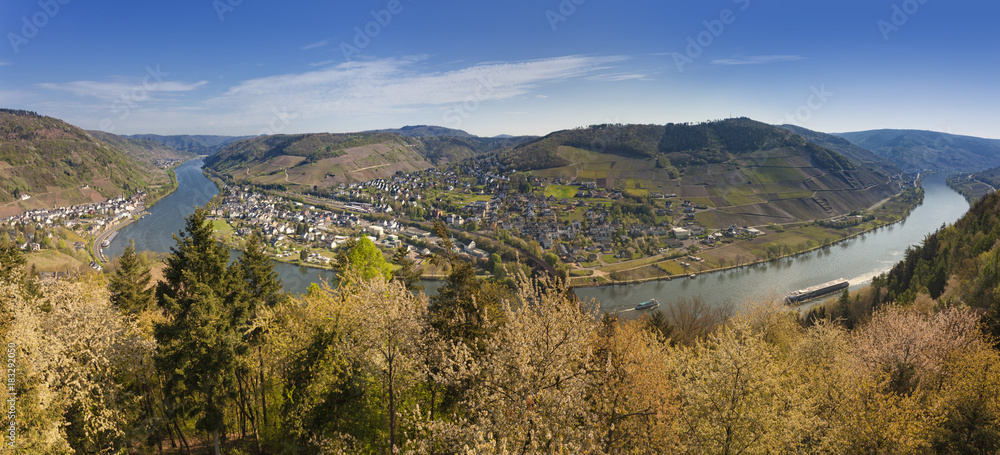 Moselle valley panorama
