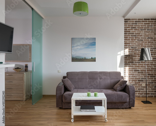 Interior of modern apartment in scandinavian style. NOTE  PHOTO ON THE WALL WAS MADE AND PRINTED BY ME   