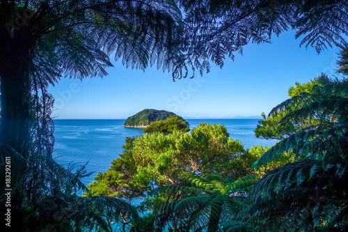 Tableau sur toile Track view in Abel Tasman National Park, New Zealand