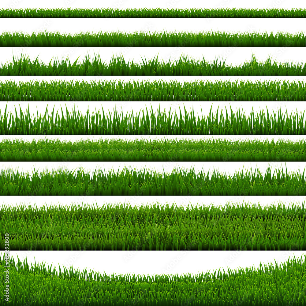 Fototapeta premium Grass Border Collection