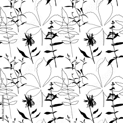 chestnut leaves sunflower herbs pattern small r