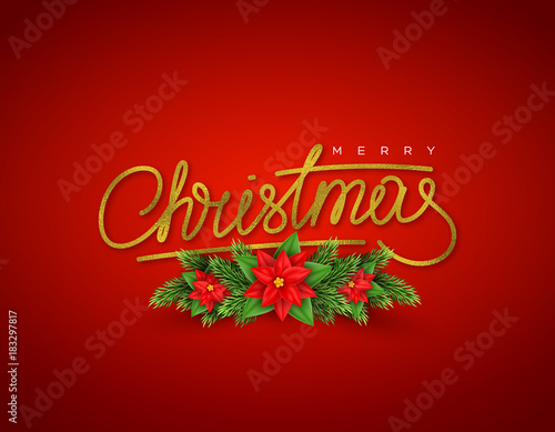 Christmas holiday background with fir-tree and poinsettia. Glitter calligraphic sigh Merry Christmas. Vector illustration.