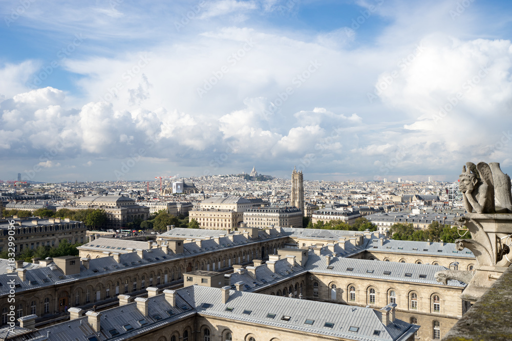 ノートルダム大聖堂のガーゴイルとパリ市街の風景