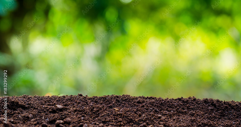 soil texture with green background - obrazy, fototapety, plakaty 