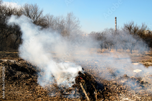 Fire in a dry forest. photo