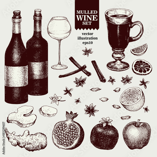 Mulled Wine and spices, orange, apple, pomegranate, cinnamon, carnation, anise, vanilla, clove, ginger. Hand drawn vector retro Illustrations. Set in sketch style. Winter drink.