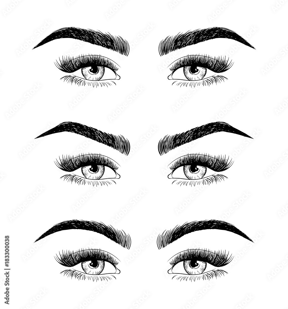 Eyebrow shaping for women face makeup.. 3 basic eyebrow shape types vector illustration. Fashion female brow Eyebrow shaping for women face makeup.. 3 basic eyebrow shape types vector illustration. Fashion female brow