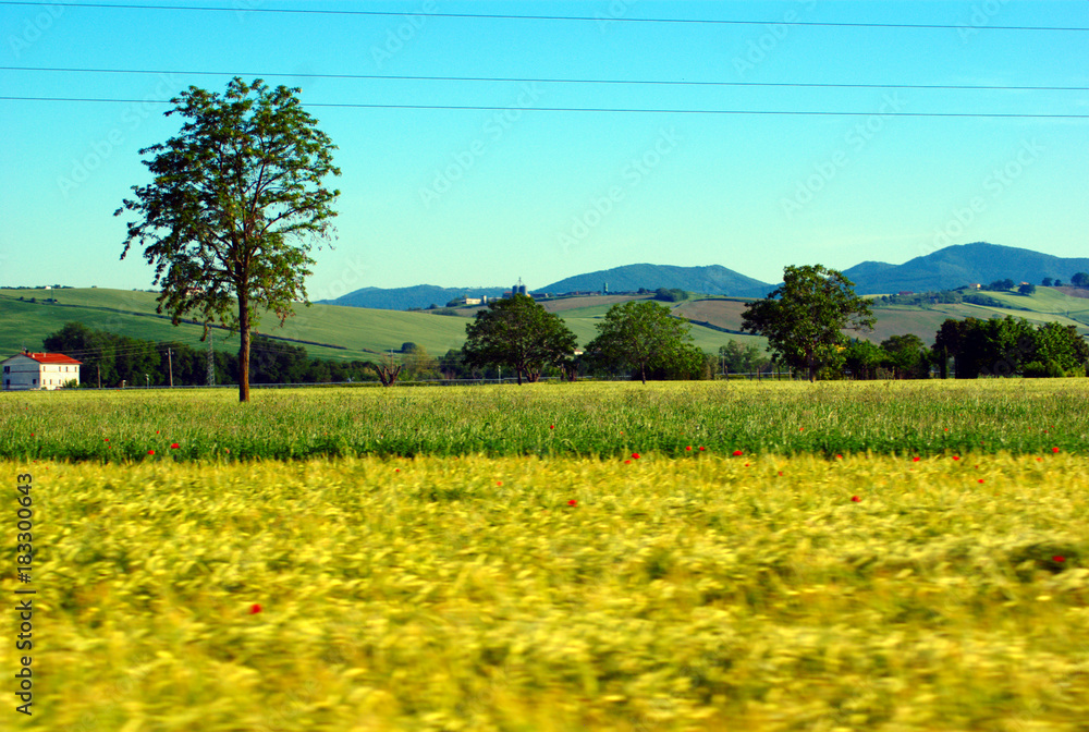 Obraz premium Paesaggio rurale