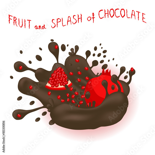 Vector illustration for ripe fruit red garnet