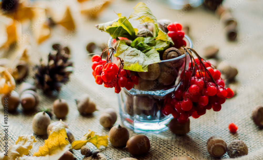 Autumn decoration with acorns and red rowan berries in the glass surrounded with  dry leaves and pine cones