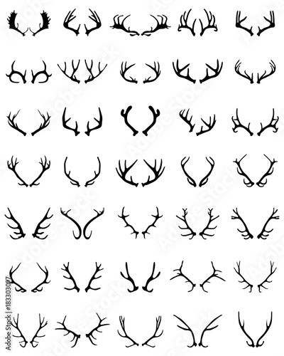 Slika na platnu Black silhouettes of different deer horns on a white background