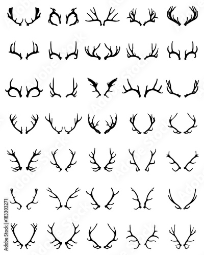 Black silhouettes of different deer horns on a white background