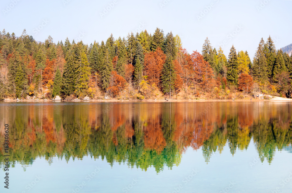 Obraz premium Beautiful and bright autumn trees with reflection on the water.