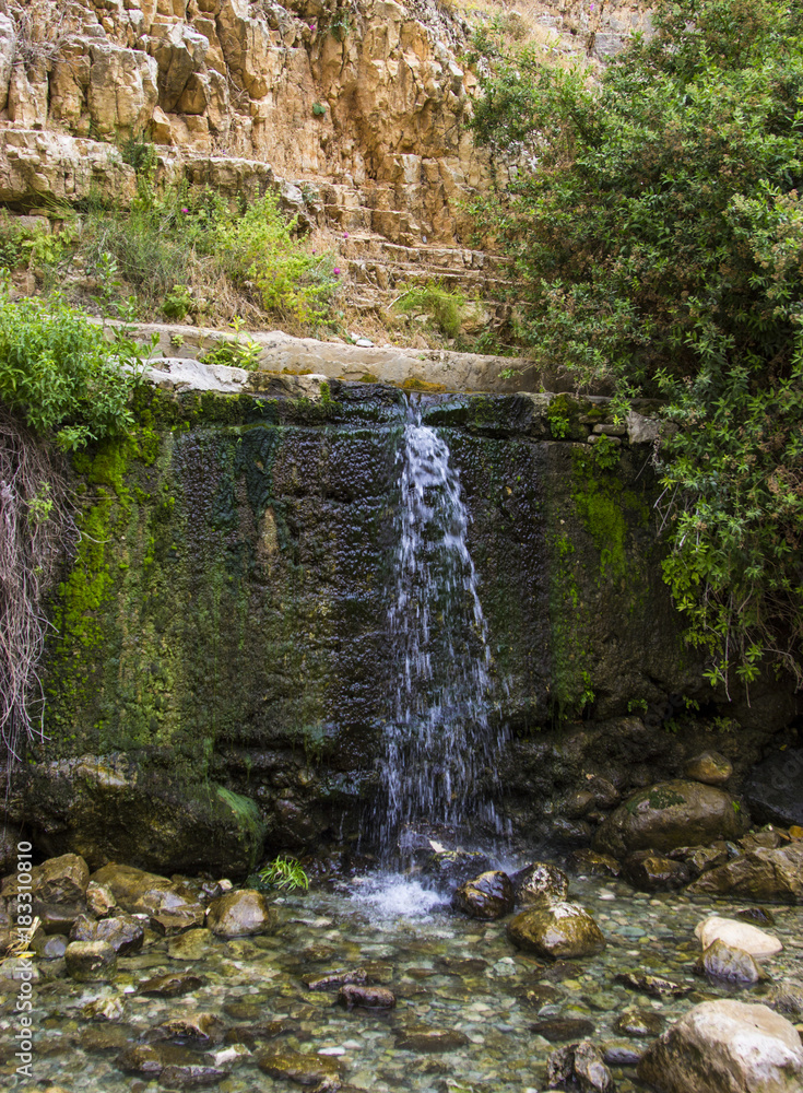 Spectacular springs and streams in Israel