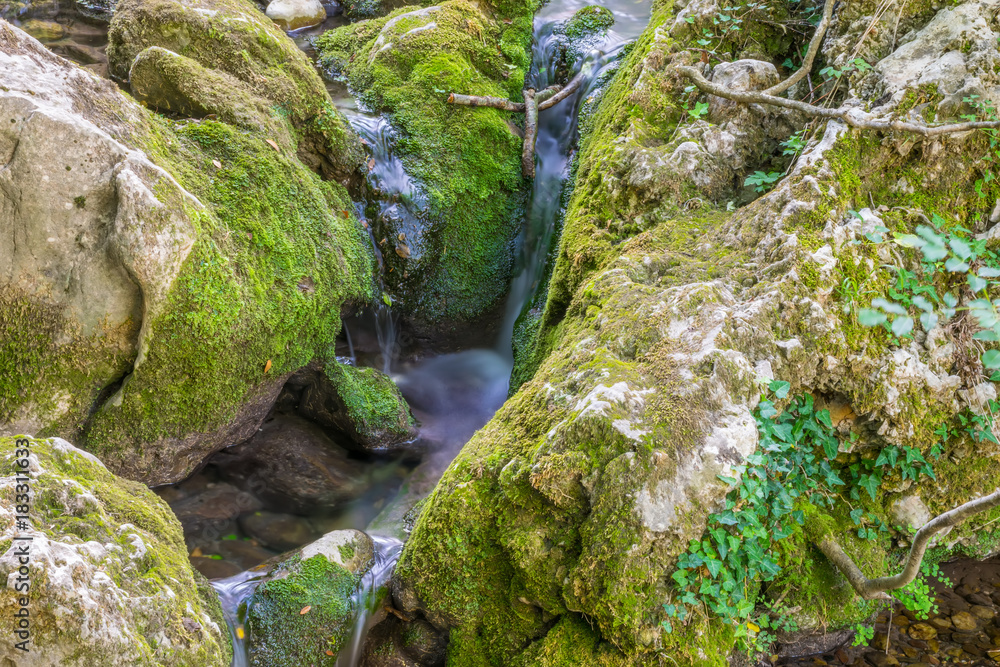 A small picturesque river flows among the stones in the forest. A small picturesque river flows among the stones in the forest.