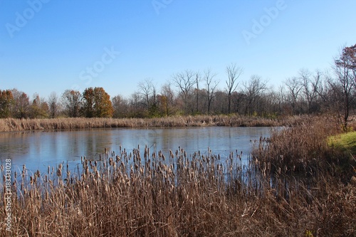 The pond in the park on a sunny day in the month of November.
