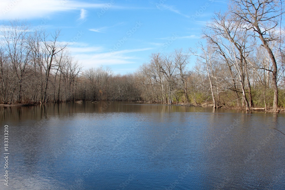 The lake in the forest on a bright sunny autumn day.