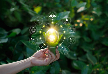 Hand holding light bulb on green nature with icons energy sources for renewable, sustainable development. Ecology concept. 