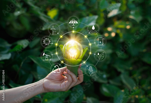 Hand holding light bulb on green nature with icons energy sources for renewable, sustainable development. Ecology concept. Elements of this image furnished by NASA.