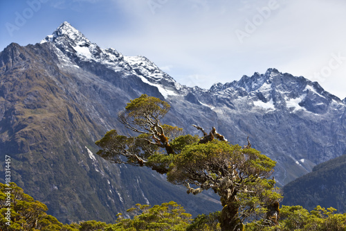 Wilde Landschaft im Fjordland von Neusseeland,Südinsel photo