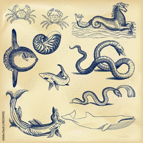 Vintage nautical collection
