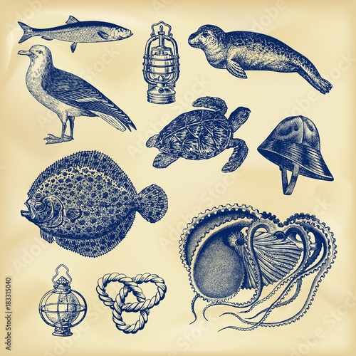 Vintage nautical collection