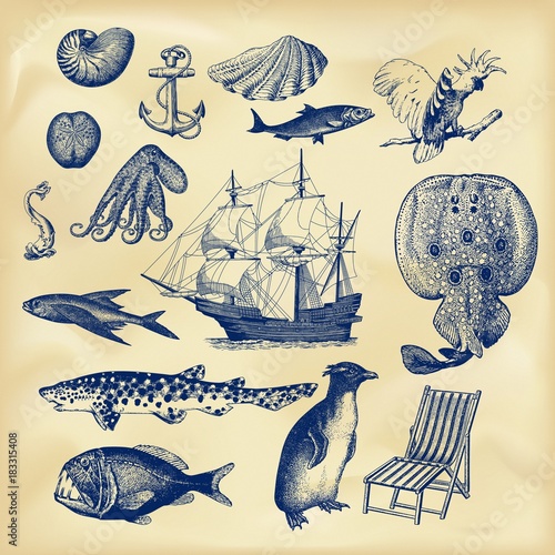 Vintage nautical collection