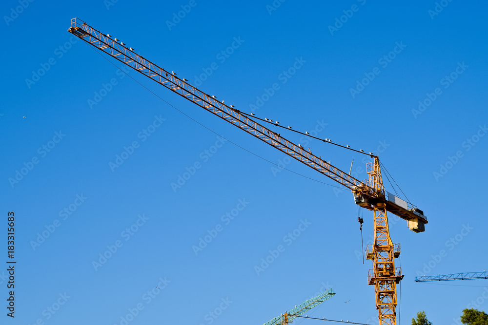 Big Cranes with Gulls on the Blue Background. Big Cranes with Gulls on the Blue Background.