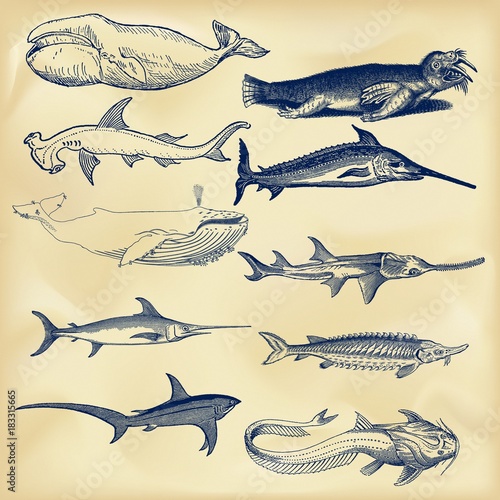 Vintage nautical collection