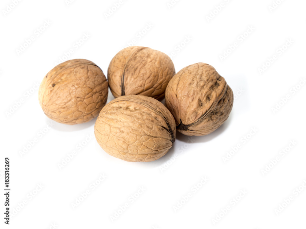 Walnut Walnut