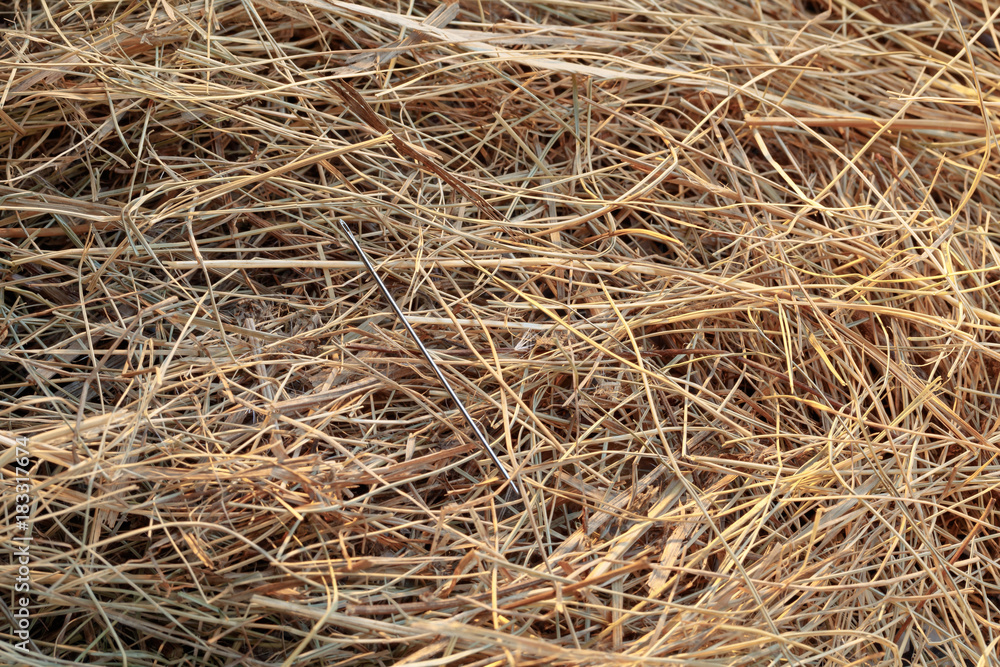 needle in a haystack/ needle in a haystack