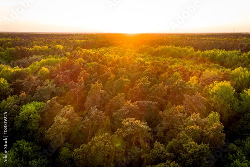 Wald in Deutschland von oben