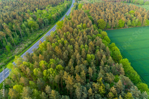 Wald mit Landstraße in Deutschland