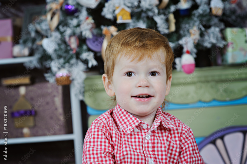 The red-haired boy in a plaid shirt amid the Christmas decorations. The red-haired boy in a plaid shirt amid the Christmas decorations.