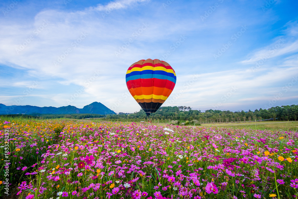 Fototapeta premium Hot air balloon flying over cosmos flowers fields