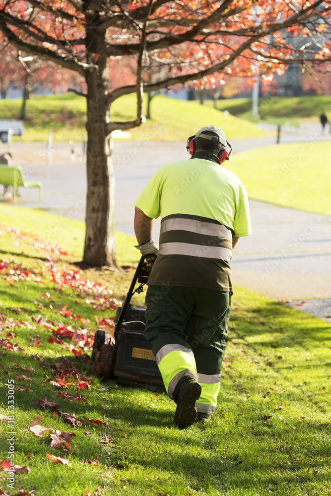 lawn mower grass service gardener in city park lawn mower grass service gardener in city park